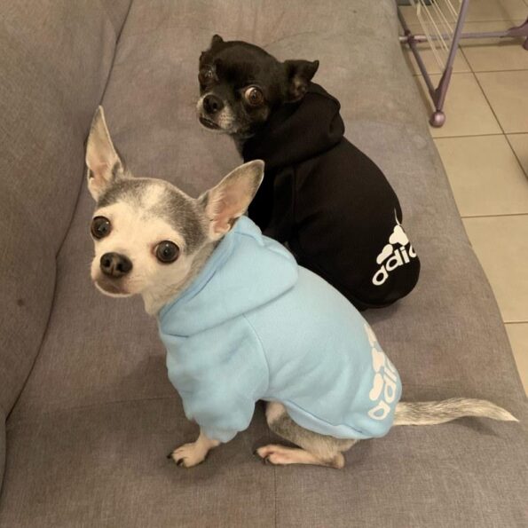2021-Winter-Pet-Dog-Clothes-Dogs-Hoodies-Fleece-Warm-Sweatshirt-Small-Medium-Large-Dogs-Jacket-Clothing-1.jpg