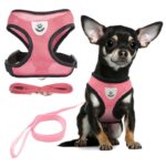 Cat-Adjustable-Harness-Polyester-Mesh-Soft-Breathable-Vest-Walking-Lead-Leash-For-Small-Medium-Dog-Cats.jpg