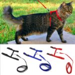 Cat-Collar-Harness-Leash-Adjustable-Nylon-Pet-Traction-Cat-Kitten-Dog-Halter-Collar-gato-Cats-Products.jpg