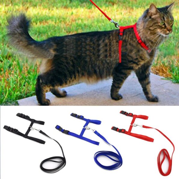 Cat-Collar-Harness-Leash-Adjustable-Nylon-Pet-Traction-Cat-Kitten-Dog-Halter-Collar-gato-Cats-Products.jpg