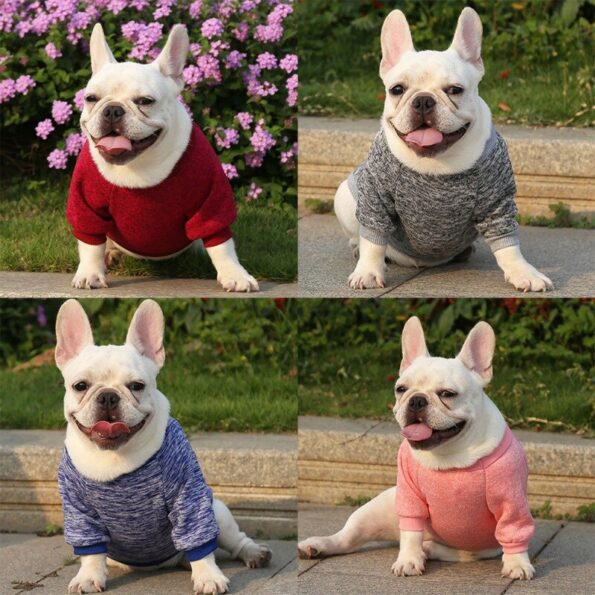 New-Dog-Clothes-for-Small-Dogs-Soft-Pet-Dog-Sweater-Clothing-for-Dog-Winter-Chihuahua-Clothes-2.jpg