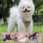 Nylon-Mesh-Kitten-Puppy-Reflective-Dogs-Harness-And-Leash-Set-Dogs-Vest-Harness-Leads-Pet-Clothes.jpg
