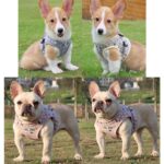 Nylon-Mesh-Kitten-Puppy-Reflective-Dogs-Harness-And-Leash-Set-Dogs-Vest-Harness-Leads-Pet-Clothes.jpg