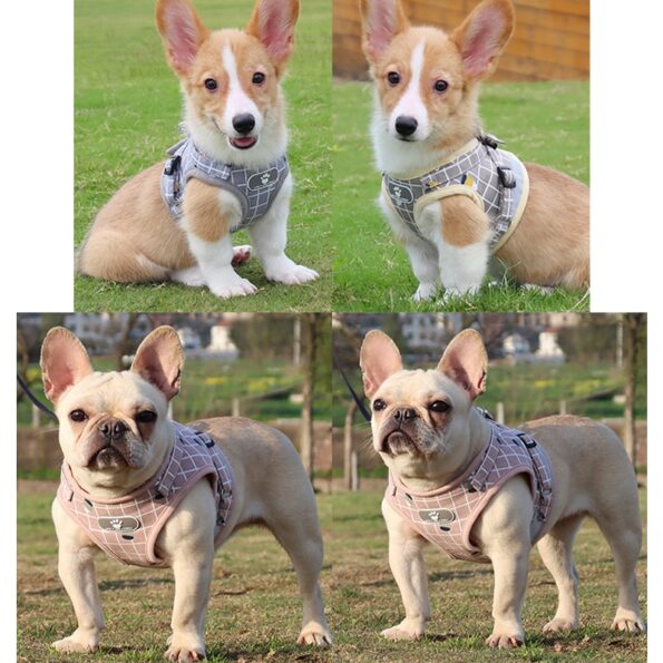 Nylon-Mesh-Kitten-Puppy-Reflective-Dogs-Harness-And-Leash-Set-Dogs-Vest-Harness-Leads-Pet-Clothes-2.jpg