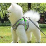 Nylon-Mesh-Kitten-Puppy-Reflective-Dogs-Harness-And-Leash-Set-Dogs-Vest-Harness-Leads-Pet-Clothes.jpg