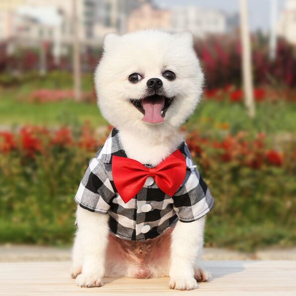 Pet-Clothes-Dogs-Plaid-Striped-Shirt-Suit-Wedding-Dress-Puppy-Coat-Teddy-Bear-Pomeranian-Vest-Small-2.jpg