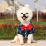 Pet-Clothes-Dogs-Plaid-Striped-Shirt-Suit-Wedding-Dress-Puppy-Coat-Teddy-Bear-Pomeranian-Vest-Small.jpg