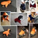 Pet-Dog-Clothes-For-Small-Dogs-Clothing-Warm-Clothing-for-Dogs-Coat-Puppy-Outfit-Pet-Clothes.jpg