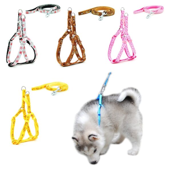 Pet-Dog-Harness-and-Leash-Adjustable-Collar-Pet-Products-for-Cat-Small-Dogs-Outdoor-Walking-Puppy.jpg