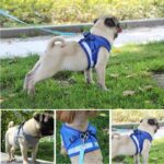 Pet-Dog-Vest-Harness-Leash-Adjustable-Reflective-Mesh-Vest-Dog-Harness-Collar-Chest-Strap-Leash-Harnesses.jpg