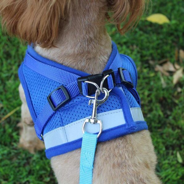 Pet-Dog-Vest-Harness-Leash-Adjustable-Reflective-Mesh-Vest-Dog-Harness-Collar-Chest-Strap-Leash-Harnesses-2.jpg